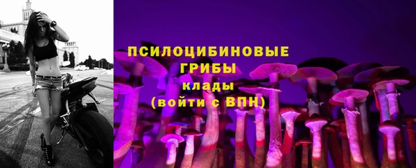 молекула духа Кодинск
