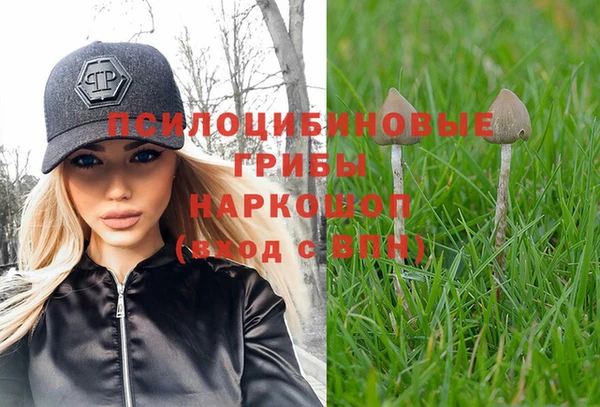 герыч Козловка