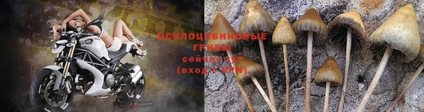 каннабис Козельск