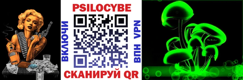 Псилоцибиновые грибы Psilocybine cubensis  Купить закладки  Ишим 